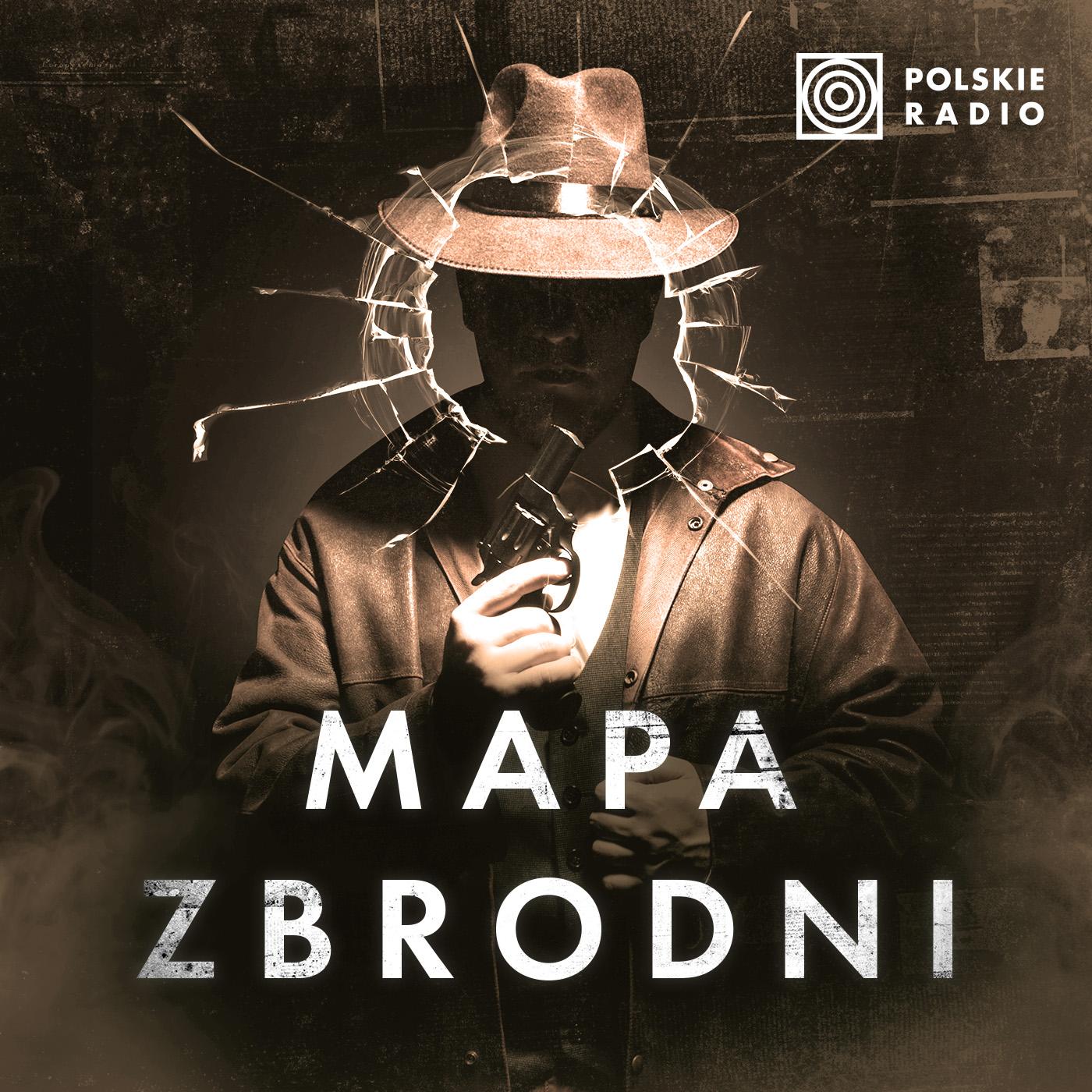 Mapa zbrodni. Przestępstwa analogowego świata